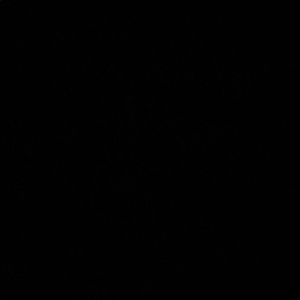 Meet your Posher, Eliza